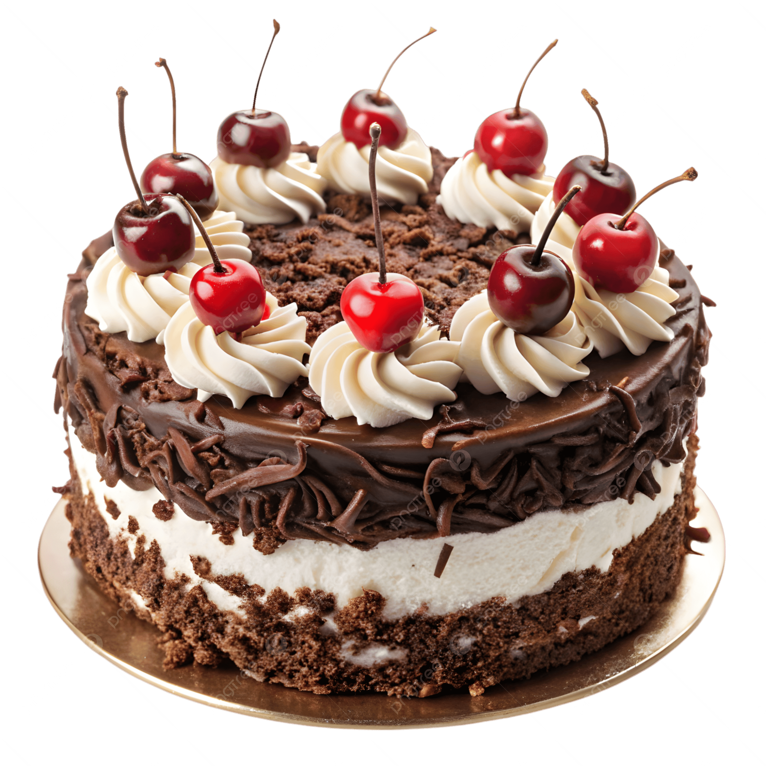 Black Forest Cake